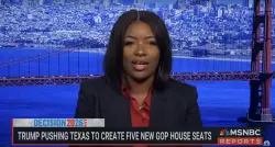 Lefty Rep. Jasmine Crockett dubs Trump a ‘wannabe Hitler’ over Epstein files row